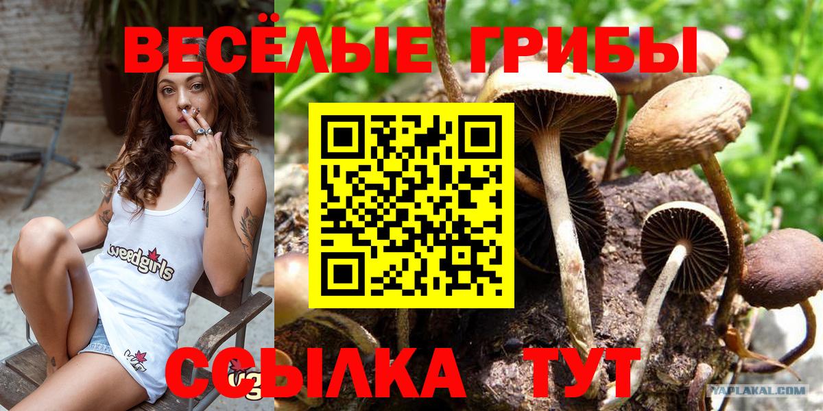 Псилоцибиновые грибы мухоморы Гусиноозёрск